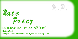 mate pricz business card